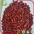 2016 Crop Kidney Beans Dark Red